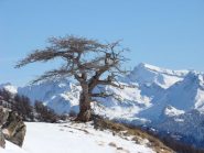 solitario con Arver e Longhede alle spalle