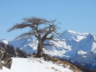 solitario con Arver e Longhede alle spalle