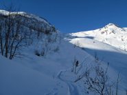 Fuori dalla vegetazione