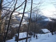 Nel bosco......