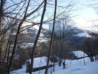 Nel bosco......