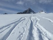 Quasi arrivati