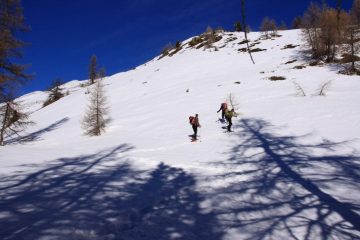 appena usciti dal Bois du Grand Plan (19-2-2011)