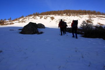 i primi pendii innevati verso il bosco (19-2-2011)