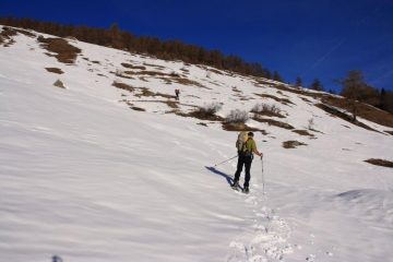 salendo in direzione del bosco (Bois du Grand Plan) (19-2-2011)