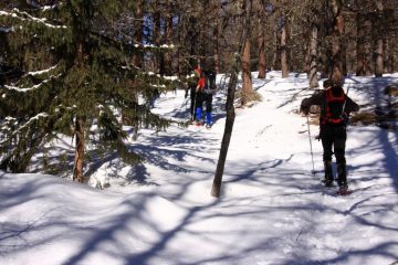 momenti di salita nel bosco..01 (19-2-2011)