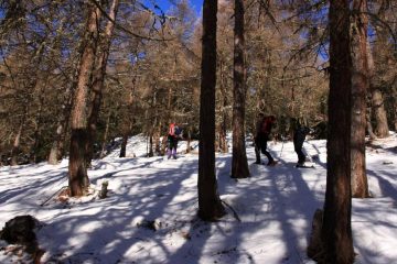 salendo nel primo tratto lungo il bosco (19-2-2011)