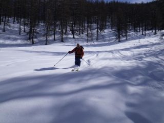 Il mingo