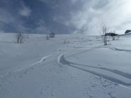 Tratto di bella farina