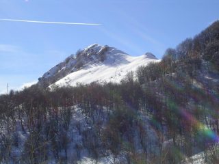 Tagliarè, visibile la traccia di salita fuori dal bosco