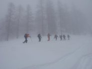 incomincia la nebbia