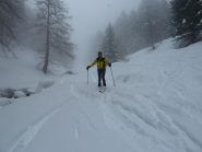 Sulla stradina tutta ravanata