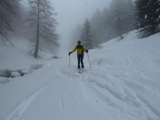 Sulla stradina tutta ravanata