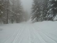 Salita in bianco e nero