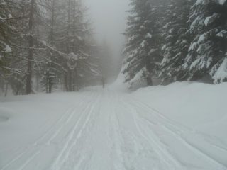 Salita in bianco e nero