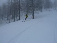 Fantastico bosco