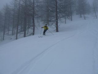 Fantastico bosco