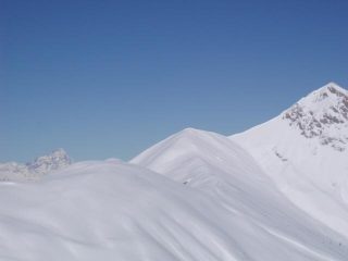 pianard,bec d'orel e il re