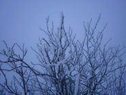 sculture di nebbia