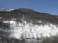 Dalla strada:il pendio boschivo di salita.