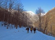 Evergreen alla partenza sulla stradina