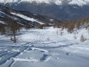 Verso il bosco