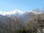 Uia di Ingria da Ciuccia