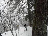 nel bosco al bivio della sorgente