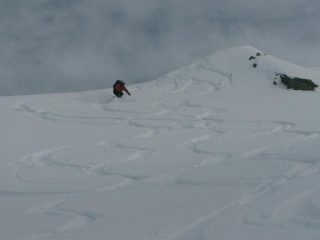 Farina parte alta