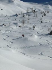 poco prima di entrare nel bosco