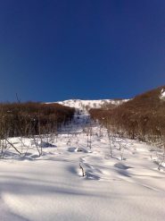 due anni fà non c'era