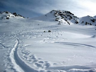 aratura in mezzo alle 2 cime