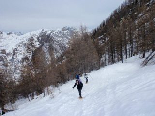 fuori dal lariceto