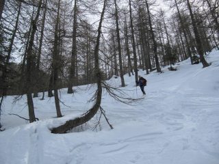 Ultimi tratti da URLO....
