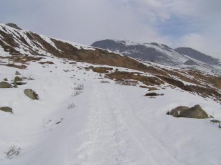 Sulla strada per il Colle Pian Fum