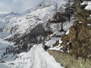 la strada di salita poco dopo la partenza
