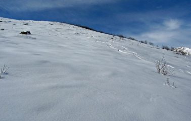 Neve buona fino alla strada
