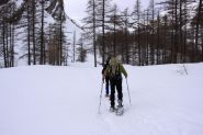 salendo verso il pianoro di quota 2188 m. quasi fuori dal bosco (26-2-2011) 