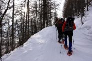 inizia la risalita dell'ampio sentiero che si inoltra nel bosco (26-2-2011)