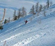 LA PARTE ALTA DEL BOSCO