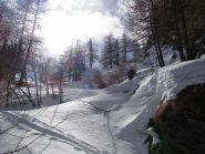 Salendo nel bosco per il Colle della Croce