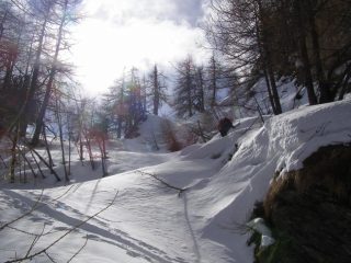 Salendo nel bosco per il Colle della Croce