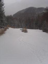 05 - quì si va bene