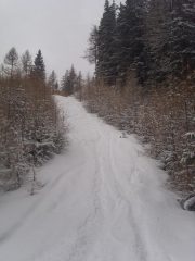 03 - ho avuto qualche problemino a scendere causa natura che riprende possesso della vecchia pista...