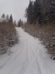 03 - ho avuto qualche problemino a scendere causa natura che riprende possesso della vecchia pista...