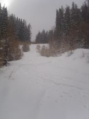 04 - quì si va già un pò meglio