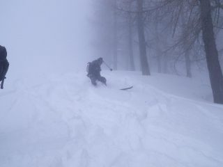 nella nebbia