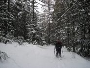 Nel bosco
