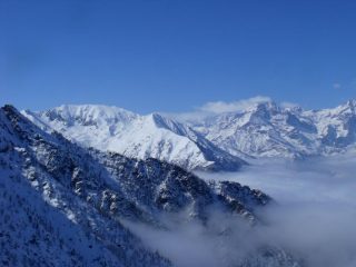 Grifone e Lera