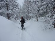 Sul sentiero di ritorno